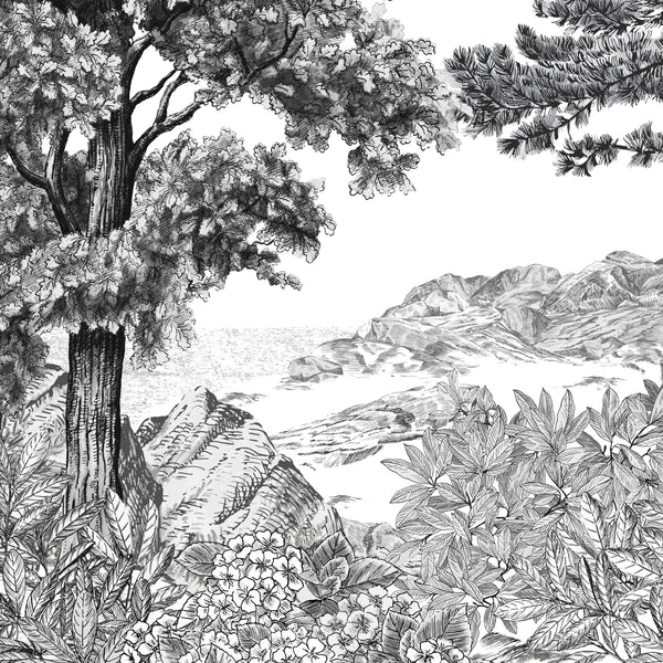 FORÊT DE BRETAGNE Grisaille