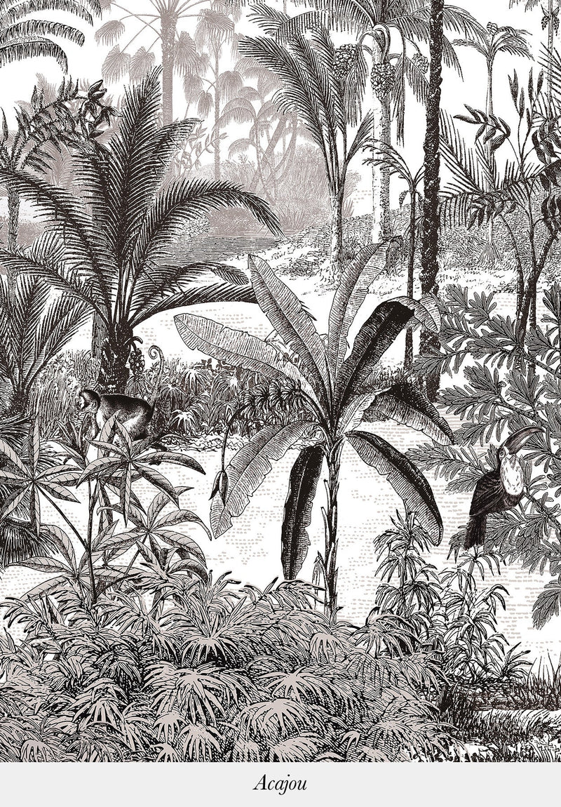 Amazonas