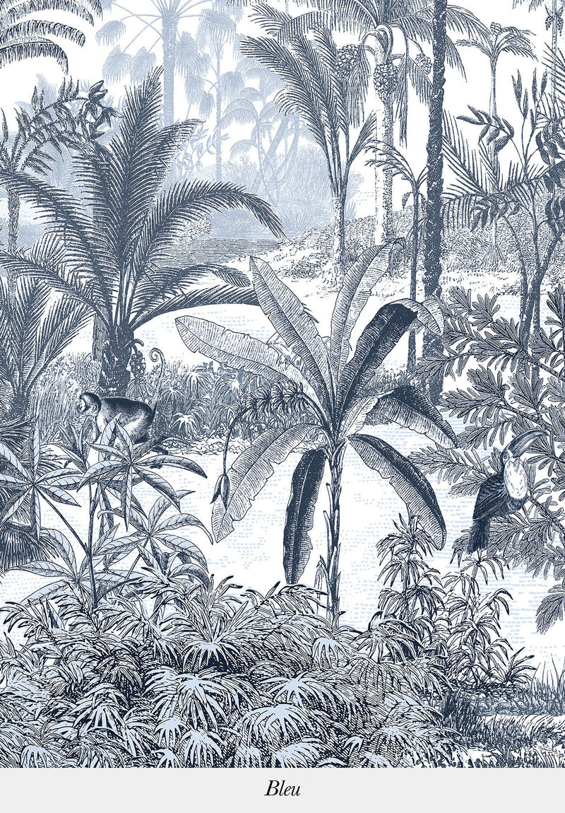 Amazonas