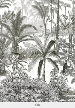 Amazonas