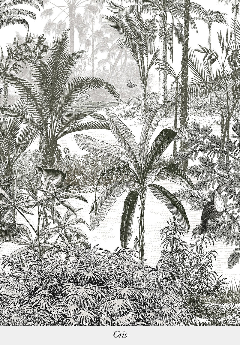 Amazonas