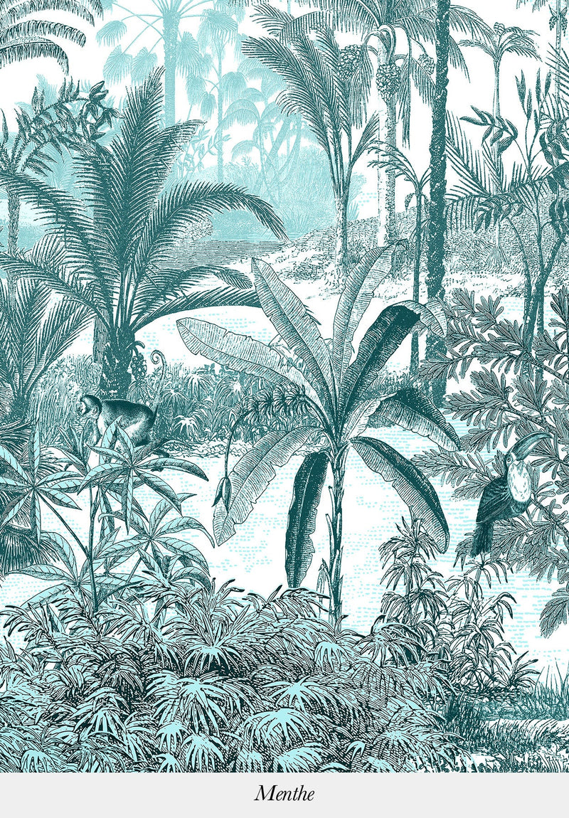 Amazonas