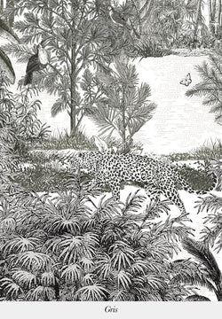 Amazonas-Panther
