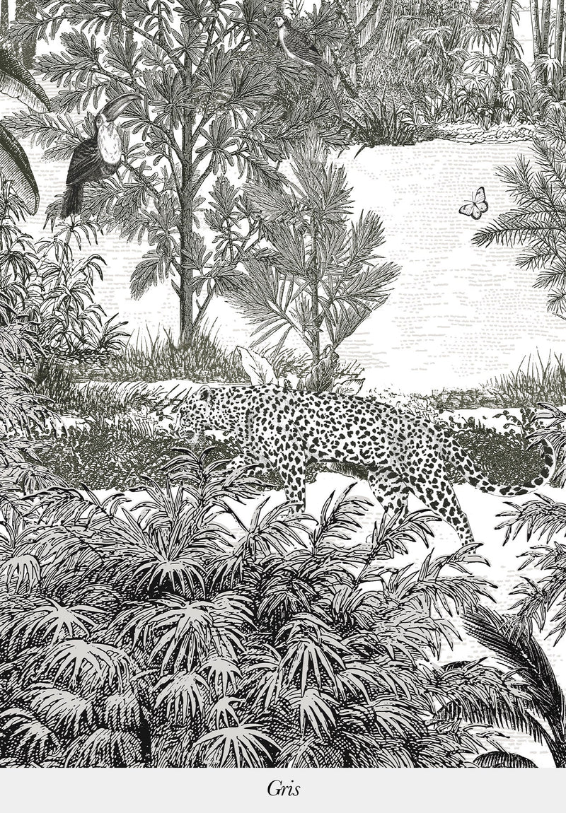 Amazonas-Panther