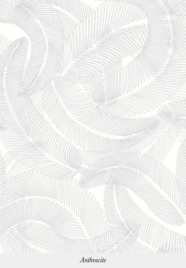 Plume