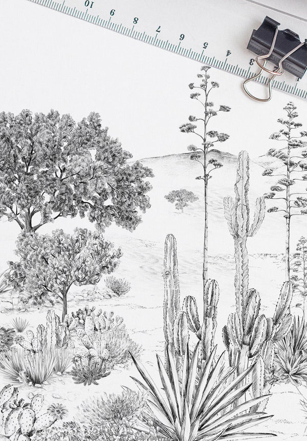 Succulentes sur mesure