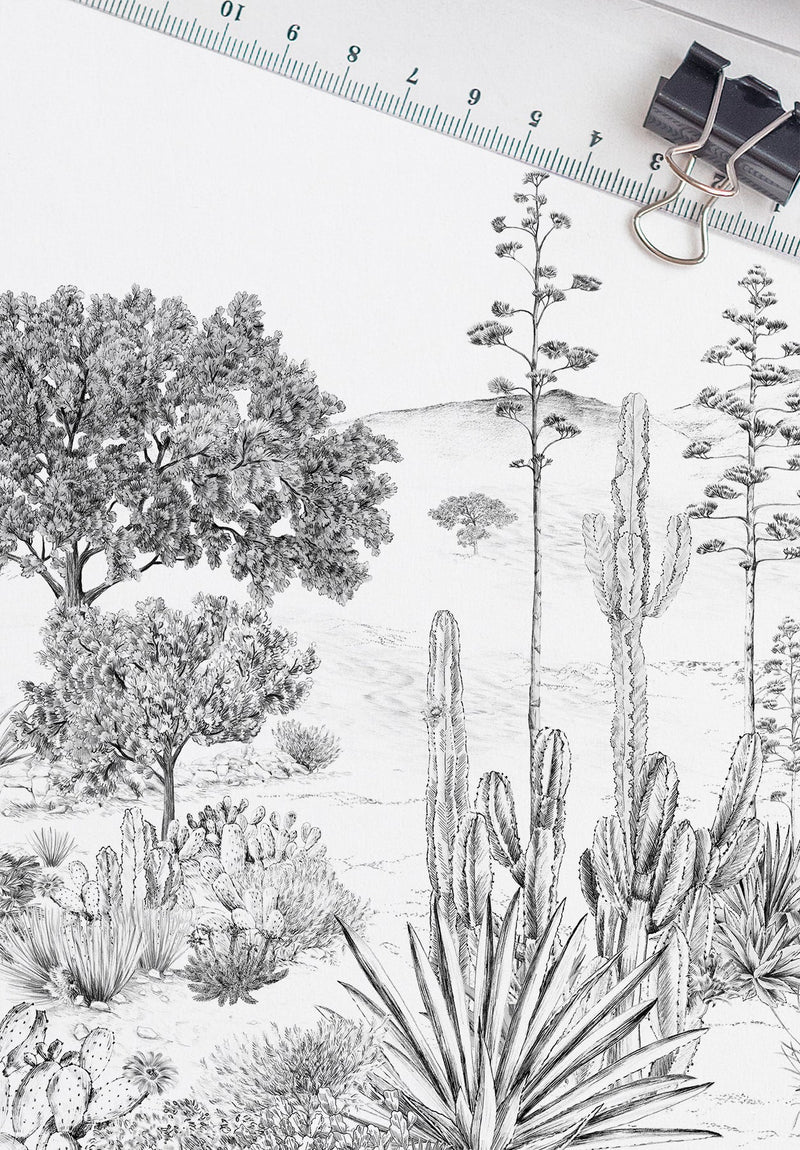 Succulentes sur mesure