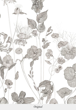 Prairie