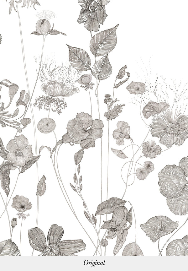 Prairie