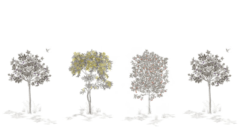 Arbustes sur mesure