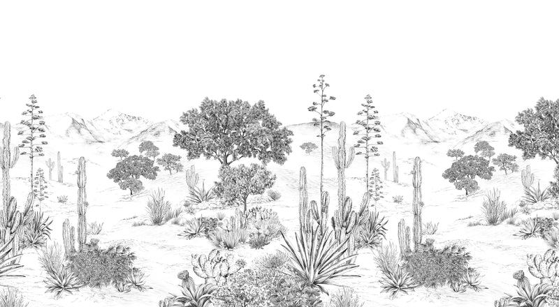 Succulentes sur mesure