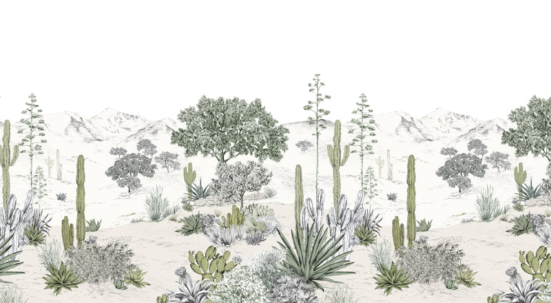 Succulentes sur mesure
