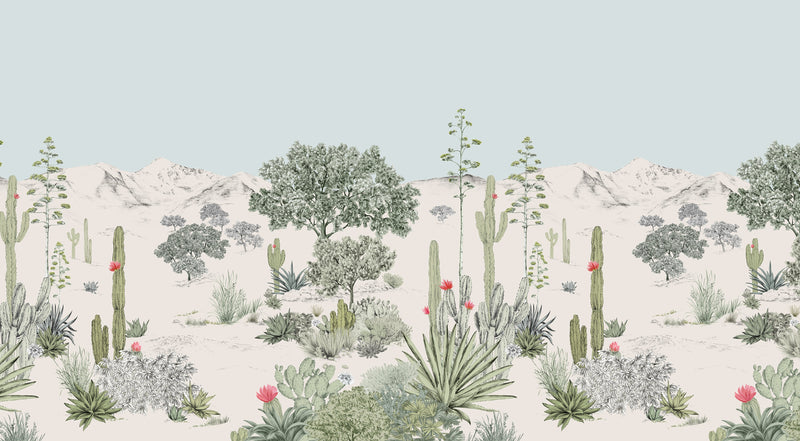 Succulentes sur mesure