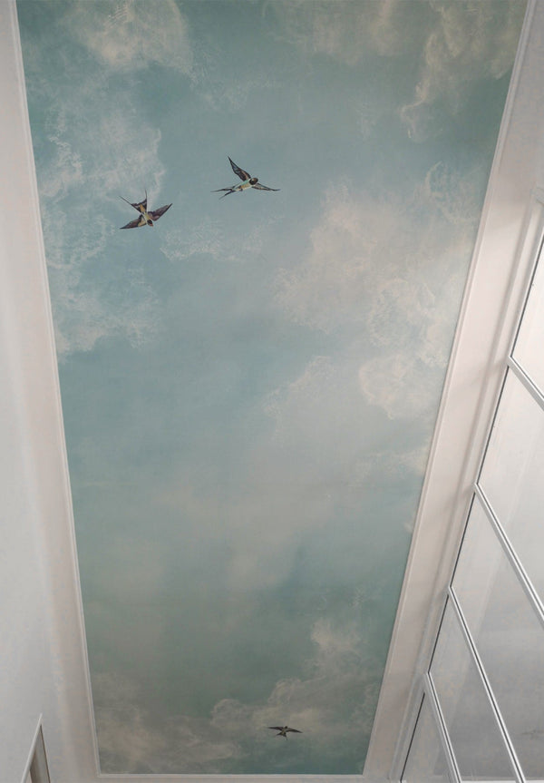 Ciel sur mesure