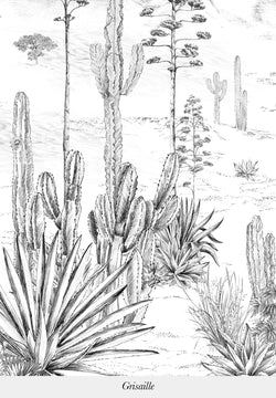Succulentes sur mesure