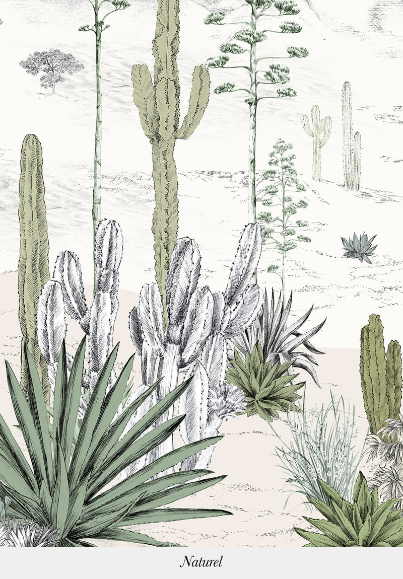 Succulentes sur mesure
