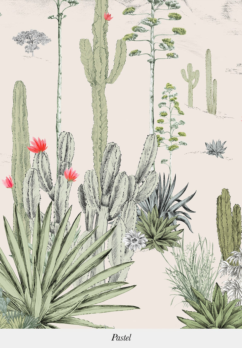 Succulentes sur mesure