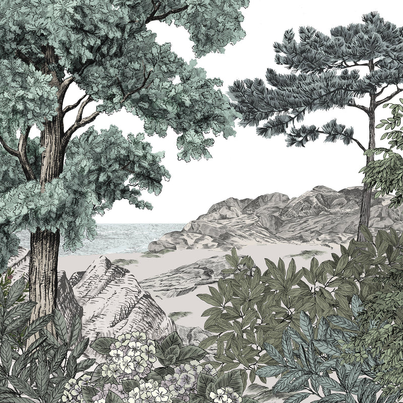 WALD DER BRETAGNE Natürlich