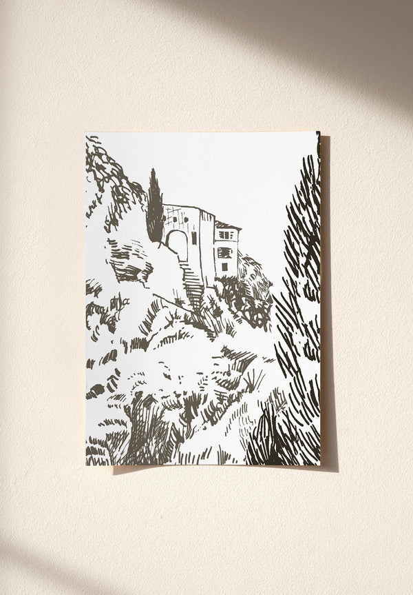 Cyprès échantillon