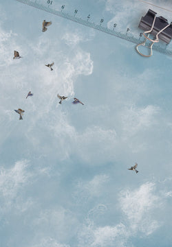 Himmel Wanddekoration