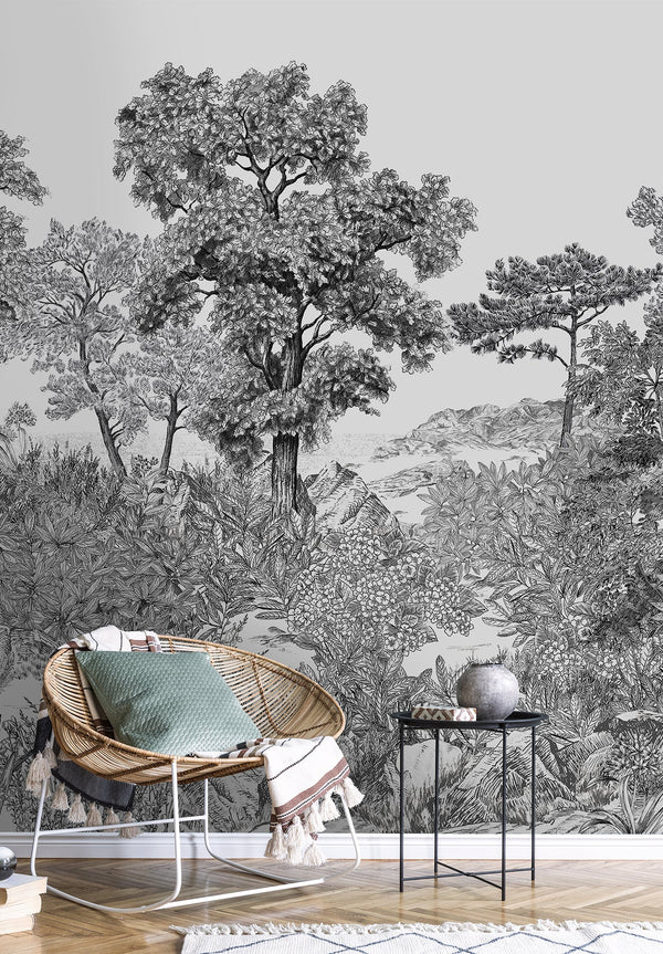 FORÊT DE BRETAGNE Grisaille