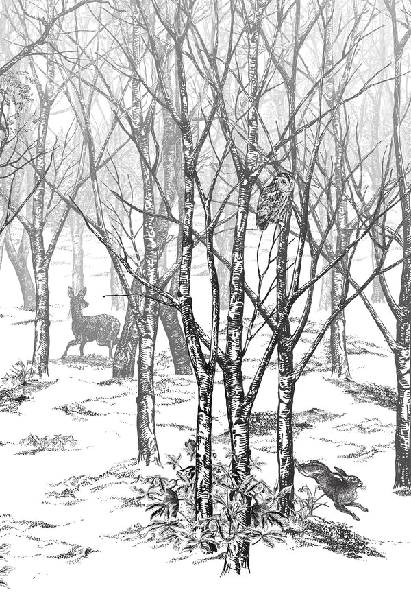 Forêt Enchantée